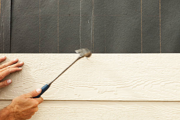 Best Custom Trim and Detailing for Siding  in Oak Lawn, IL